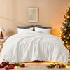 Andency Fluffy Queen Comforter Set, Super Soft White Comforters Queen