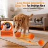 Automatic Interactive Dog Ball - Self Moving Toy for Medium