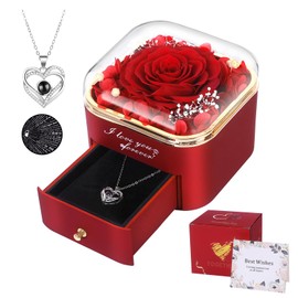 Preserved Red Real Rose with I Love You Necklace in 100 Languages,Eternal Flowers Gifts for Her Women Mum Wife Girlfriend on Christmas Valentines Day Mothers Day, Anniversary Birthday Gifts for Her