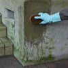 Nihon Miracon Sangyo Outdoor Cleaning Exterior Algae, Moss, Mold Remover