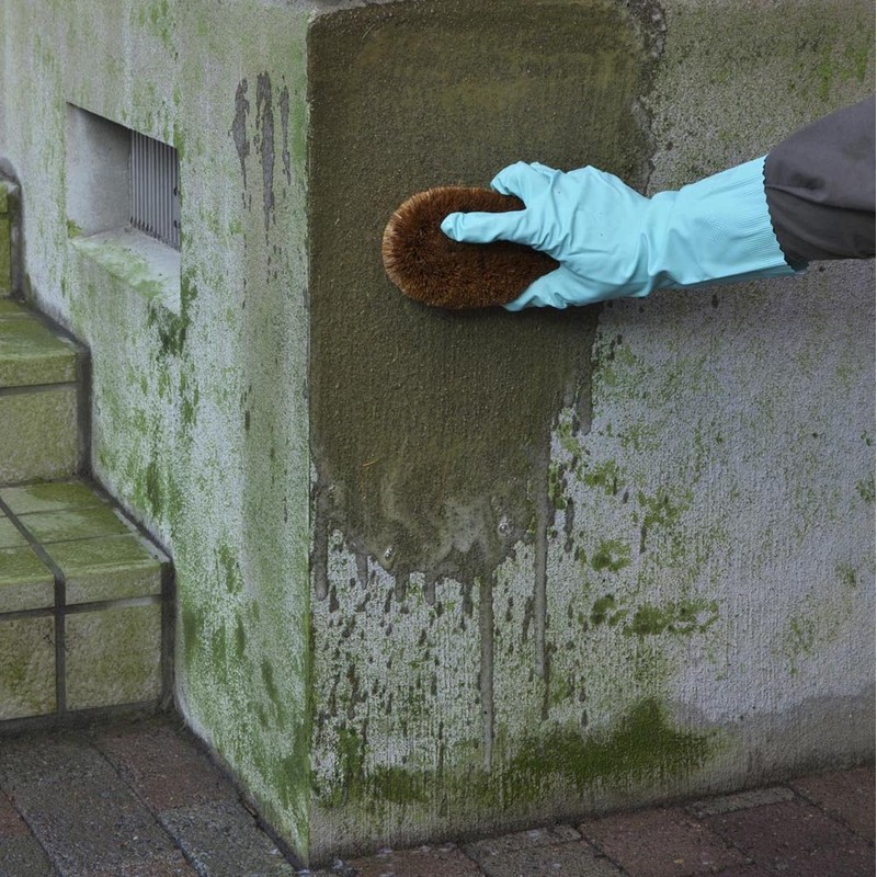 Nihon Miracon Sangyo Outdoor Cleaning Exterior Algae, Moss, Mold Remover