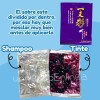 Shampoo Tinte Instantáneo Natural Cubre Canas Jengibre 120pz