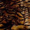 Fabric Base Velboa Smooth Wave Prints Tiger Gold, Fabric by