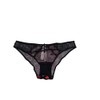 Victoria's Secret Heart Embroidery Cheekini/Cheeky Panty Multicolor New Medium