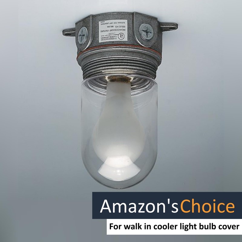 2 Pack Glass Globe Light Bulb Cover for Walk in