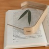 Desktop Plant Specimen Frame Wooden Acrylic Simple Modern Photo Frame