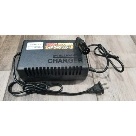 Razor MX 500 MX650 RSF 48 Volt OVERVOLT Charger EcoSmart Metro 48v XLR DLX 500