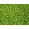 Noch Noch 8411 - Mappa Ancora 08411 Giocattoli, Materiale a