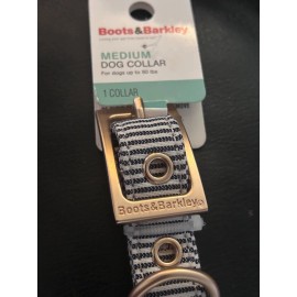 Boots & Barkley Railroad Stripe Medium Dog Collar