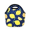 allydrew Insulated Neoprene Lunch Bag Zipper Lunch Box Tote, Lemons
