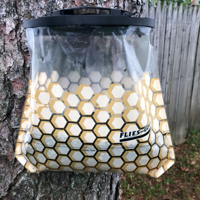 Combined Distributors Flies Be Gone Fly Trap - Effective Non-toxic