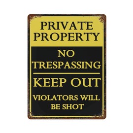Wodevor Decorative Metal Sign No Trespassing Metal Plaque 12"x16" Warning CCTV Security Camera Customized Metal Signs Outdoor for Room Kitchen Bedroom Wall Decorations