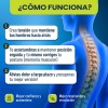 Corrector Postura Espalda Para Hombre Y Mujer Faja Ajustable {