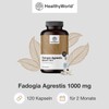 HealthyWorld® Fadogia Agrestis - 120 Capsules - For Men -