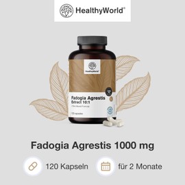 HealthyWorld® Fadogia Agrestis - 120 Capsules - For Men - Plant Capsules - Highly Concentrated 1000 mg per Daily Dose - Ratio 10:1 - Popular with Athletes