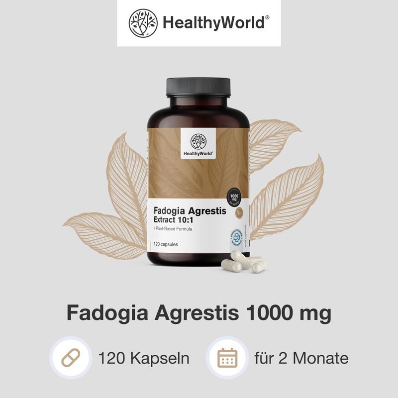 HealthyWorld® Fadogia Agrestis - 120 Capsules - For Men -