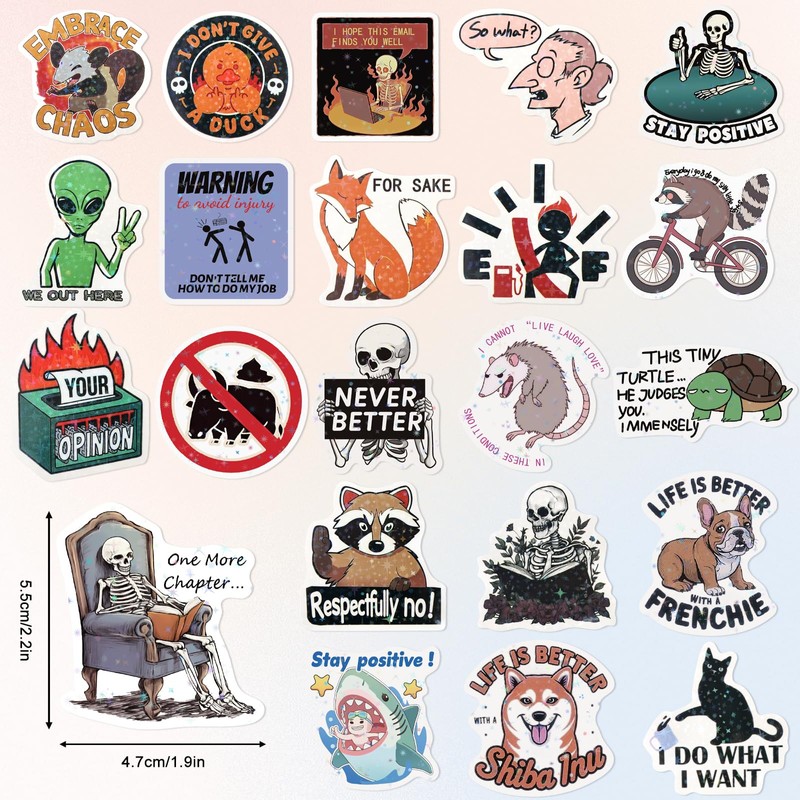 ELZO 300 Pcs Holographic Funny Stickers for Adults Pack -