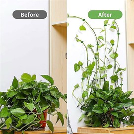 AIMALL 20X Invisible Wall Vines Fixture Sticky Hook Fixing Clip Climbing Plants Holder