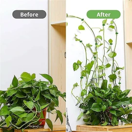 AIMALL 20X Invisible Wall Vines Fixture Sticky Hook Fixing Clip Climbing Plants Holder