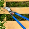 Hickok Heavy Duty Loppers for Tree Trimming – 42" Branch