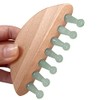 ideayard Scalp Massage Comb Shower Hair Brush Scalp for Hair