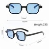 WDZAYXC Small Square Sunglasses for Men and Women, Classic Rectangular