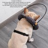 Blind Dog Collar Lightweight Adjustable Protective Ring Anti Collision Blind
