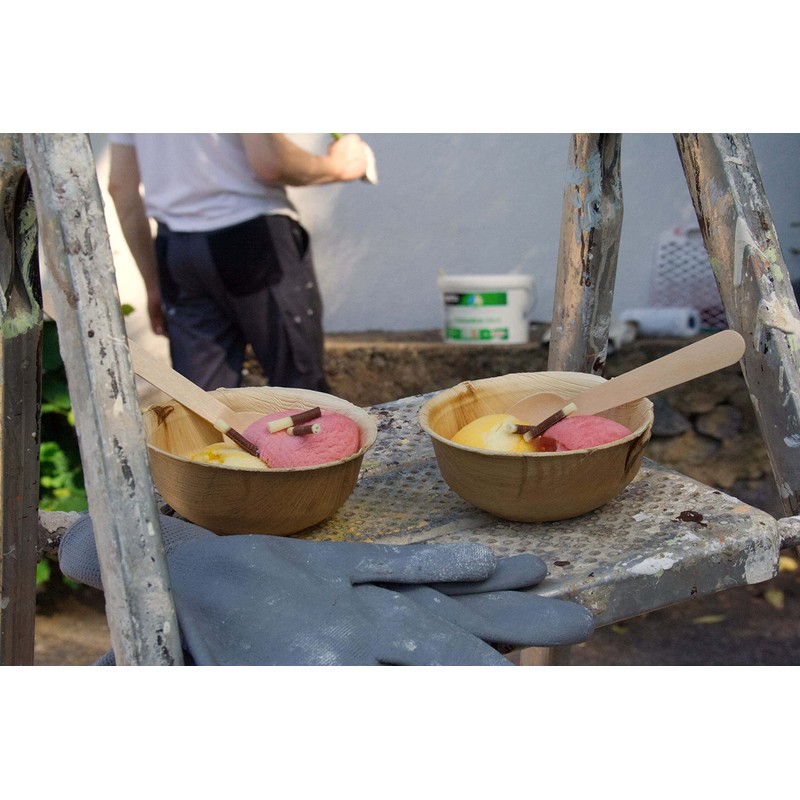 Waipur Organic Palm Leaf Bowls – 25 Bowls Diameter 11