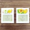 SSP09 Preserved Flowers Photo Frame, Parfait Campagne Gerbera Orange White,