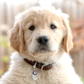 SAE99 Evil Eye Resin Charm Pendants, Blue White Alloy Clip-On Charms for Bracelet Necklace Keychain DIY Jewelry Making (3 Pcs)