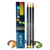 Apsara Matt Magic Pencil 2.0 [Pack of 10]