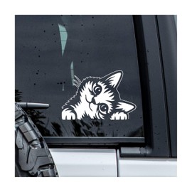 MYMKO Cat Peeking Decal, Funny Pet Mom Car Window Decals, 6 Inches UV DTF Tranfer Car Stickers, Aesthetic Cute Animal Weatherproof Car Truck Window Bumper Sticker, Humor Car Decals for Cats Lovers