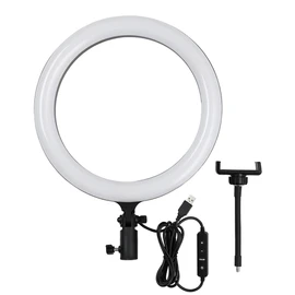 Godox LR120 12 Inch LED Ring Light Studio Photography Fill-in Light 3000K-6000K Bi-Color Temperature Adjustable Brightness USB Powered with Phone Holder for Live Streaming Selfie Makeup Portrait Photography