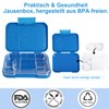 Braoses Lunch Box with 4 or 6 Compartments, Bento Box