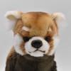 BH6301 HANSA Lesser Panda 61