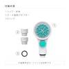 Takagi JSB027GY Pet Shower Head, White