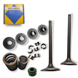 Valve Seal Spring Kit for Honda XR650 XR650L 1993-2023 NX650 1988-1989 XR600R 1988-2000 OEM# 14711-MG3-000 14721-MG3-000