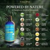 Pura Dor Hair Loss Prevention Therapy Premium Organic Argan Oil