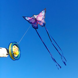 Mint's Colorful Life Butterfly Kite for Kids & Adults, Easy to Fly Kites for Beach, Large Single Line Kite with Long Tail &300ft Kites String (Pink Shinning)