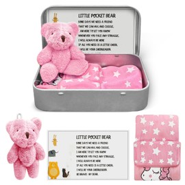 Little Pocket Bear Hug in A Tin,Plush Doll Keychain Positivity Gifts,Thinking of You Gifts for Women, Pinkteddy Bear Get Well Soon Gifts for Kids