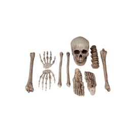 Fun World Bag O Bones Prop Standard