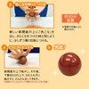 Shachihata TMN-SHCD1 Colorful Frosted Bun Production Kit