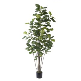Petals - 6' Fiddle Leaf Fig Silk Tree - 6' Height x 36" Width