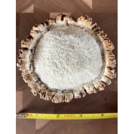 Handmade GIANT 4” A-GRADE ELK ANTLER BURR Crafting or Dog Chew (READ DESCRIPTION)