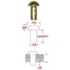 1/8 X 5/8 Solid Brass Round Head Rivet, .225 Head