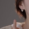Women's Earrings, Hypoallergenic, Popular, Silver Sterling Silver Copper