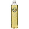 SPARKLING ICE Sparkling Water Plastic Bottle, 16571953381, Ginger Lime, 17