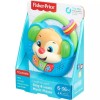 Fisher-Price Laugh & Learn Sing & Learn Music Player