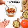 8 PCS Tiny Stainless Steel Spoons for Spices Jars, Mini