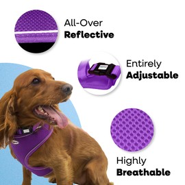 HugglePets Adjustable Waterproof Air Mesh Dog Harness - Black (Small 34-45 cm) Strong & Secure Lightweight & Breathable Harness for Small Dogs with Reflective Lining.